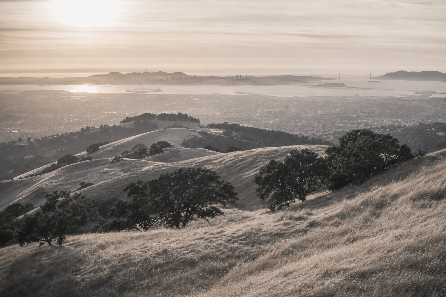 East Bay