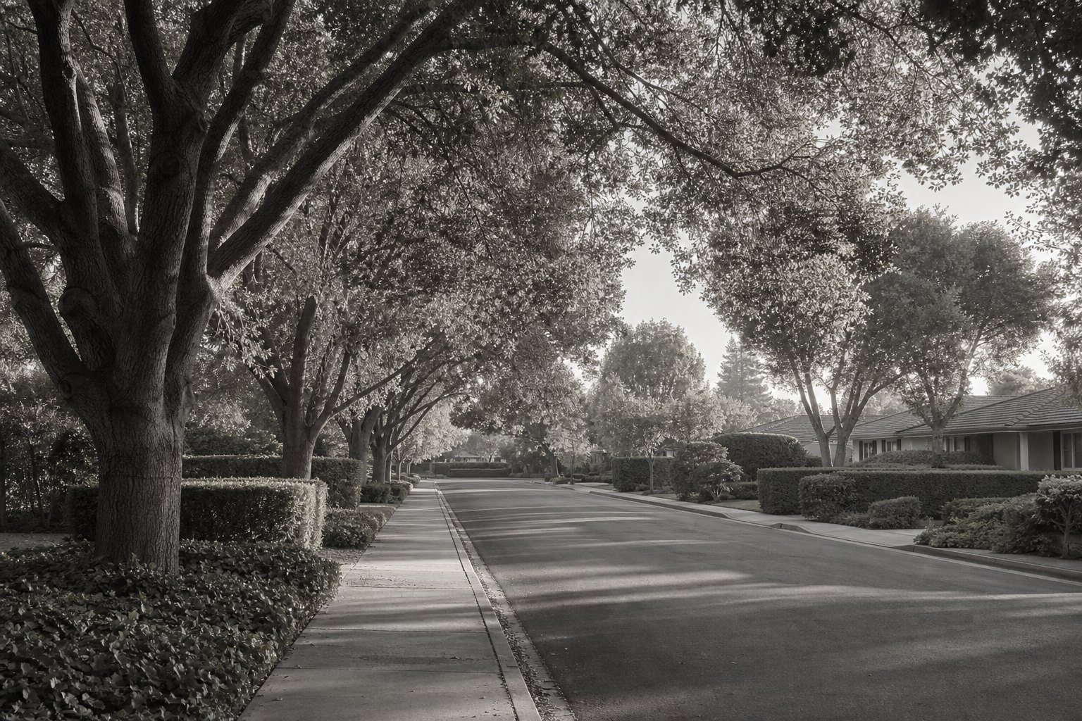 The Peninsula