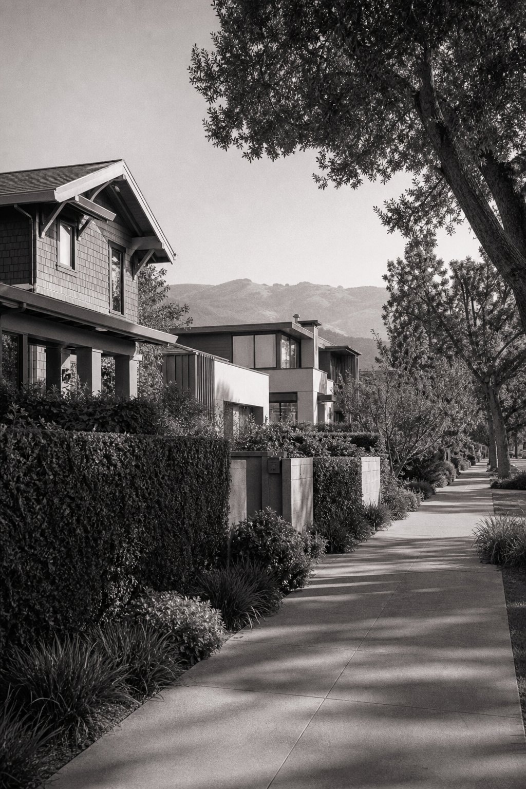 South Bay